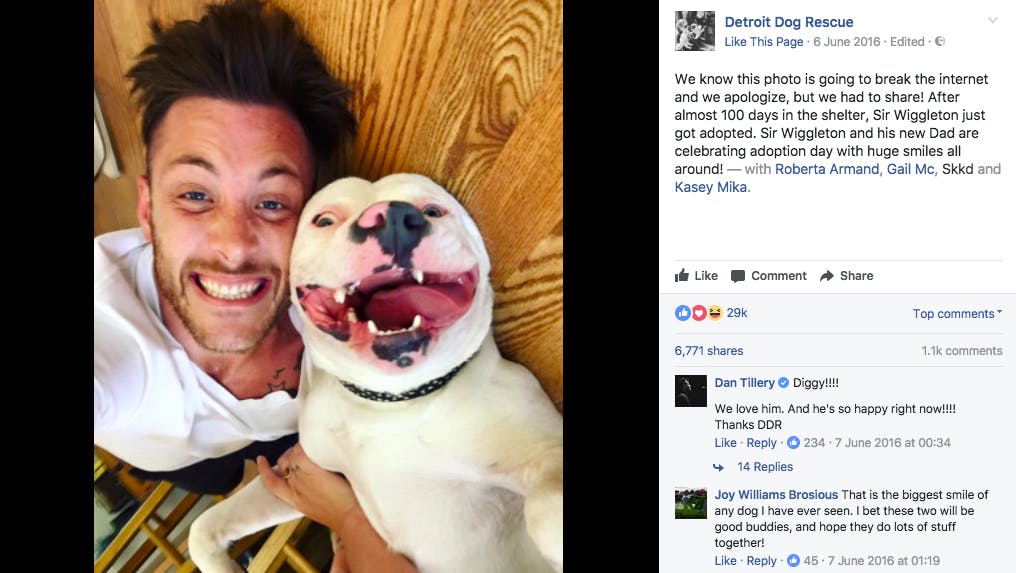 Dan Tillery adopts viral Diggy the Dog posts selfie on Facebook cops ticket