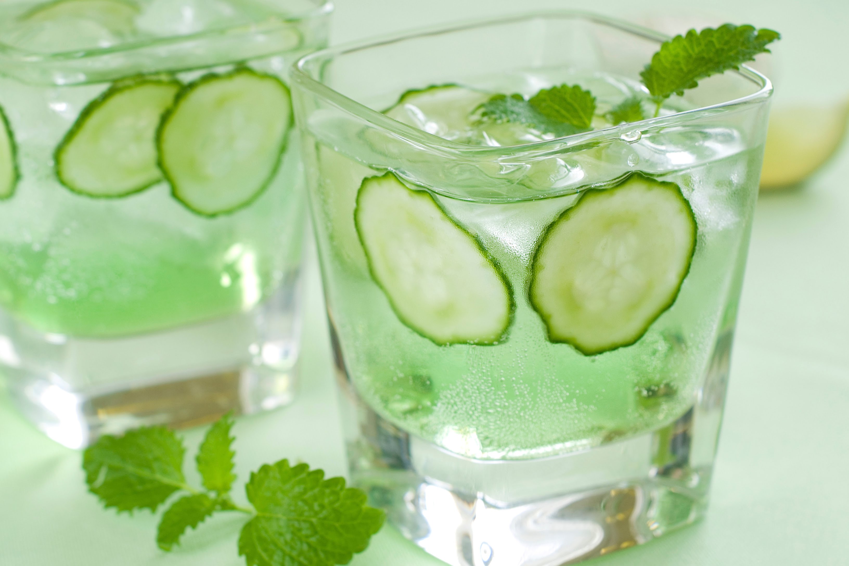 Image result for water cucumber