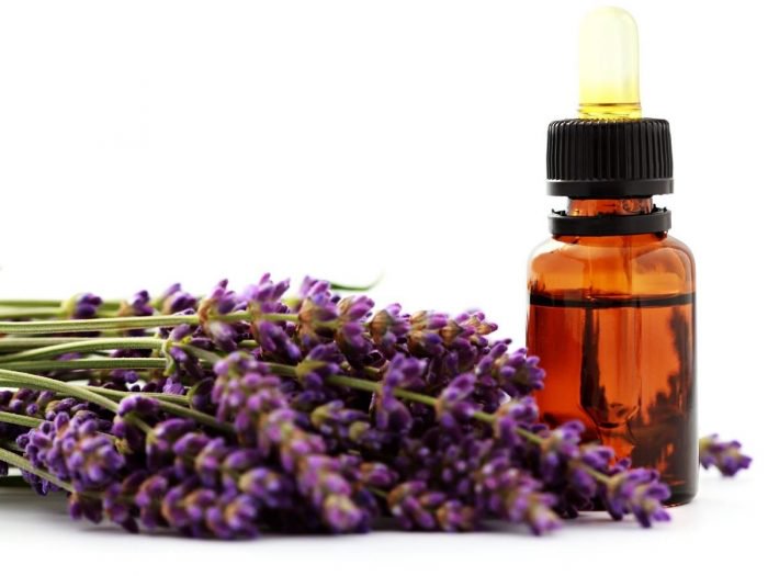 Image result for lavender oil