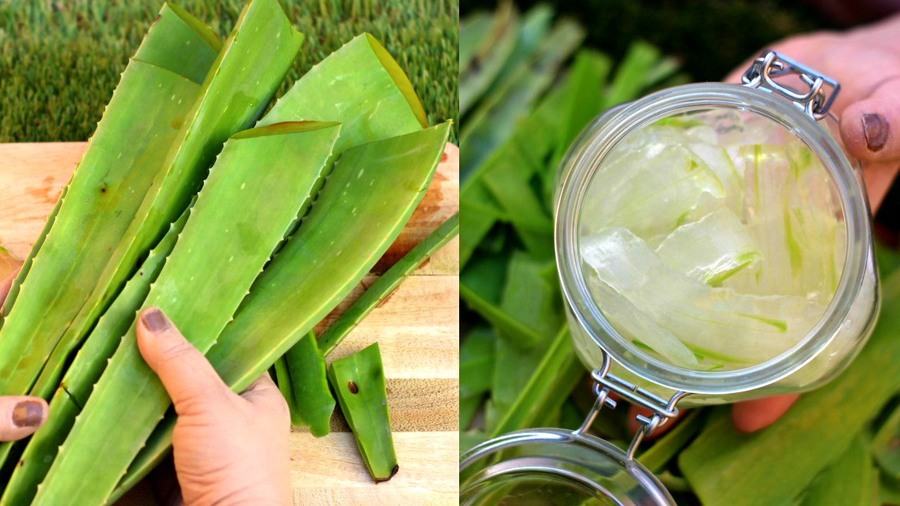 Image result for aloe vera gel