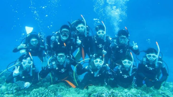 Group of Divers - Lost at Sea