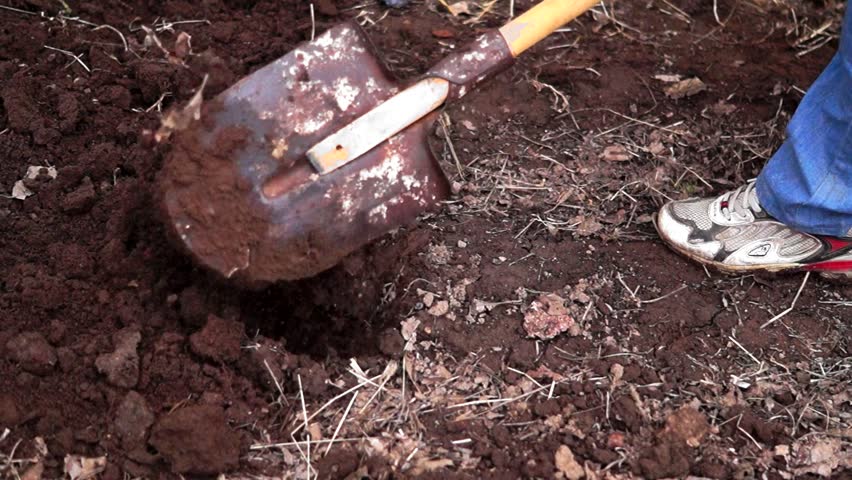 Image result for digging ground