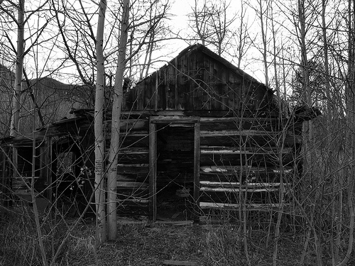 Image result for abandoned cabin in the woods