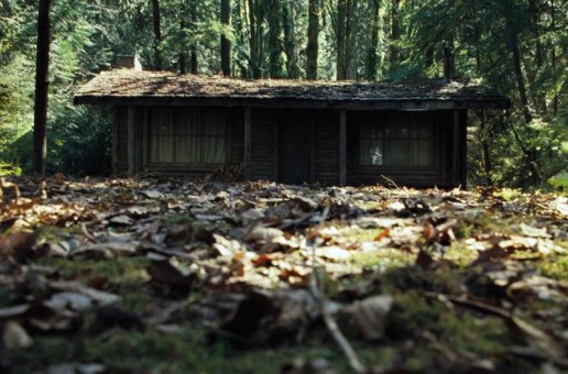 Image result for horror cabin in the woods