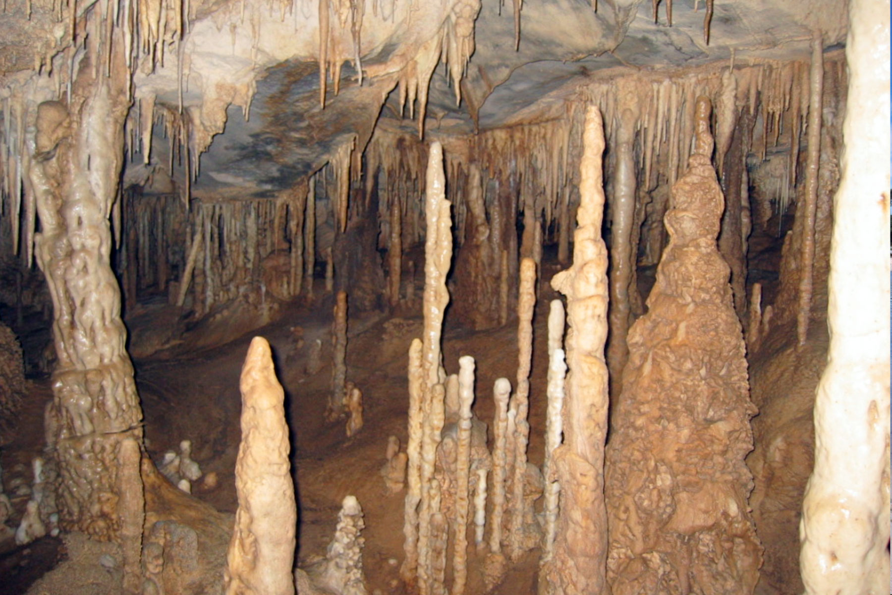 Image result for Stalagmites